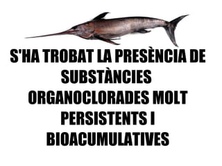 S'HA TROBAT LA PRESÈNCIA DE SUBSTÀNCIES  ORGANOCLORADES MOLT PERSISTENTS I BIOACUMULATIVES   