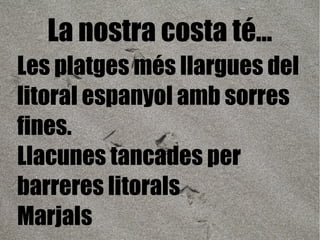 Les platges més llargues del litoral espanyol amb sorres fines.   Llacunes tancades per barreres litorals Marjals  La nostra costa té... 