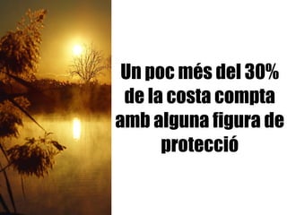 Un poc més del 30% de la costa compta amb alguna figura de protecció 
