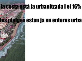El 40% de la costa està ja urbanitzada i el 16% és ja costa artificial. El 57% de les platges estan ja en entorns urbanitzats. 