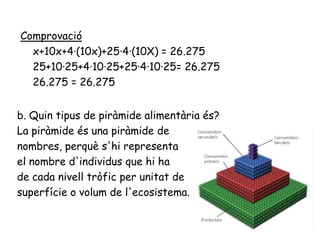 Comprovació
x+10x+4·(10x)+25·4·(10X) = 26.275
25+10·25+4·10·25+25·4·10·25= 26.275
26.275 = 26.275
b. Quin tipus de piràmide alimentària és?
La piràmide és una piràmide de
nombres, perquè s'hi representa
el nombre d'individus que hi ha
de cada nivell tròfic per unitat de
superfície o volum de l'ecosistema.
 