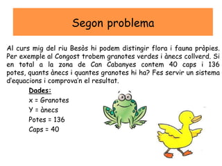 Segon problema
Al curs mig del riu Besòs hi podem distingir flora i fauna pròpies.
Per exemple al Congost trobem granotes verdes i ànecs collverd. Si
en total a la zona de Can Cabanyes contem 40 caps i 136
potes, quants ànecs i quantes granotes hi ha? Fes servir un sistema
d’equacions i comprova’n el resultat.
Dades:
x = Granotes
Y = ànecs
Potes = 136
Caps = 40
 