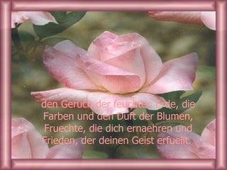 den Geruch der feuchten Erde, die Farben und den Duft der Blumen, Fruechte, die dich ernaehren und Frieden, der deinen Geist erfuellt.  