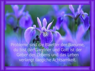 Probleme sind die Blaetter der Baeume, du bist der Gaertner und Gott ist der Geber des Lebens und das Leben verlangt taeglche Achtsamkeit. 