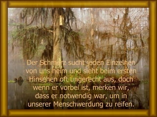 Der Schmerz sucht jeden Einzelnen von uns heim und sieht beim ersten Hinsehen oft ungerecht aus, doch wenn er vorbei ist, merken wir, dass er notwendig war, um in unserer Menschwerdung zu reifen. 