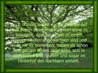 Doch oftmals lassen wir die Blaetter auf dem Boden zusammenkommen ohne zu beachten, dass sie schon zu einem riesigen Haufen angewachsen sind und wenn wir es bemerken, haben sie schon den ganzen Boden zugedeckt, sich in allen Ecken und Spalten und sogar im Hinterhof des Nachbarn verteilt. 