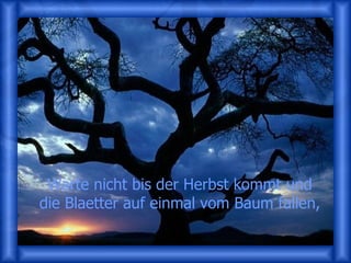 Warte nicht bis der Herbst kommt und die Blaetter auf einmal vom Baum fallen, 
