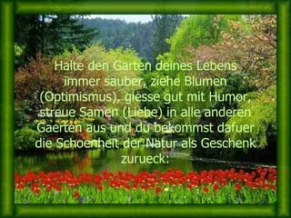 Halte den Garten deines Lebens immer sauber, ziehe Blumen (Optimismus), giesse gut mit Humor, streue Samen (Liebe) in alle anderen Gaerten aus und du bekommst dafuer die Schoenheit der Natur als Geschenk zurueck: 