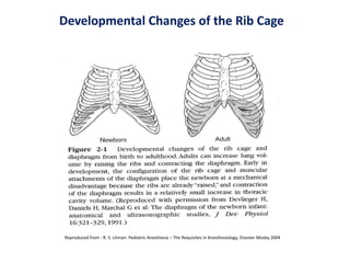 Developmental Changes of the Rib Cage
Reproduced from - R. S. Litman: Pediatric Anesthesia – The Requisites in Anesthesiology, Elsevier Mosby 2004
 