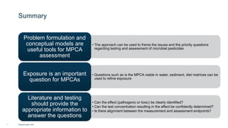 Problem Formulation Risk Assessment Problem Formulation as an Ecological Testing and Assessment Tool for ...