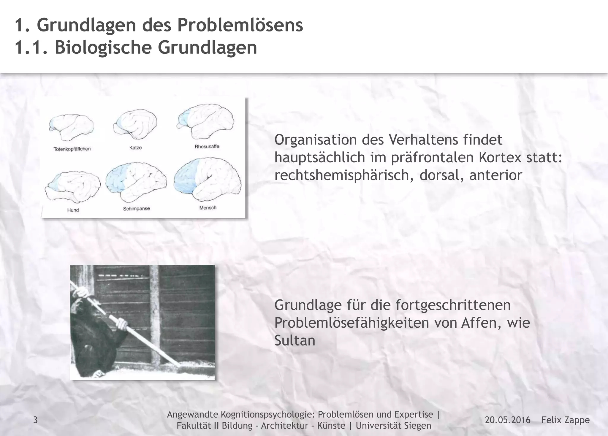 Felix Zappe20.05.2016
Angewandte Kognitionspsychologie: Problemlösen und Expertise |
Fakultät II Bildung - Architektur - Künste | Universität Siegen
Disclaimer
3
1. Grundlagen des Problemlösens
1.1. Biologische Grundlagen
Organisation des Verhaltens findet
hauptsächlich im präfrontalen Kortex statt:
rechtshemisphärisch, dorsal, anterior
Grundlage für die fortgeschrittenen
Problemlösefähigkeiten von Affen, wie
Sultan
 