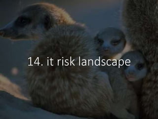 14. it risk landscape
 
