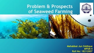 Mahabbat Jun Siddique
MPSM-4
Roll No: 18212007
Problem & Prospects
of Seaweed Farming
 