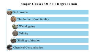 Major Causes Of Soil Degradation
4
Soil erosion
The decline of soil fertility
Waterlogging
Salinity
Shifting cultivation
Chemical Contamination
 