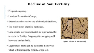 7
PRESENTATION
TITLE Decline of Soil Fertility
• Frequent cropping,
• Unscientific rotation of crops,
• Extensive and excessive use of chemical fertilizers,
• Too much use of chemical pesticides.
• Land should leave uncultivated for a period and let
to retain its fertility. Cropping after cropping will
leave the land unfertile.
• Leguminous plants can be cultivated in intervals
which will increase the fertility of the soil.
Figure: Decline of Soil Fertility
 