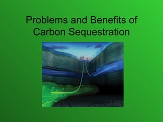 Problems and Benefits of Carbon Sequestration 