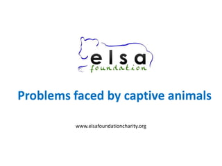 Problems faced by captive animals
www.elsafoundationcharity.org
 
