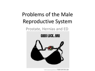 Problems of the Male
Reproductive System
Prostate, Hernias and ED
 