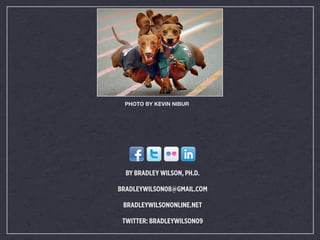 BY BRADLEY WILSON, PH.D.
BRADLEYWILSON08@GMAIL.COM
BRADLEYWILSONONLINE.NET
TWITTER: BRADLEYWILSON09
PHOTO BY KEVIN NIBUR
 