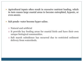  Agricultural inputs often result in excessive nutrient loading, which
in turn causes large coastal areas to become eutrophied, hypoxic, or
even anoxic.
 Salt ponds- water become hyper saline.
 Natural and artificial
 It provide key feeding areas for coastal birds and have their own
unique biological communities.
 Salt marsh subsidence has occurred due to restricted sediment
delivery from watersheds.
 