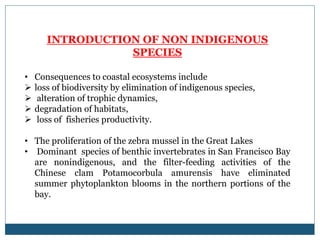 INTRODUCTION OF NON INDIGENOUS
SPECIES
• Consequences to coastal ecosystems include
 loss of biodiversity by elimination of indigenous species,
 alteration of trophic dynamics,
 degradation of habitats,
 loss of fisheries productivity.
• The proliferation of the zebra mussel in the Great Lakes
• Dominant species of benthic invertebrates in San Francisco Bay
are nonindigenous, and the filter-feeding activities of the
Chinese clam Potamocorbula amurensis have eliminated
summer phytoplankton blooms in the northern portions of the
bay.
 