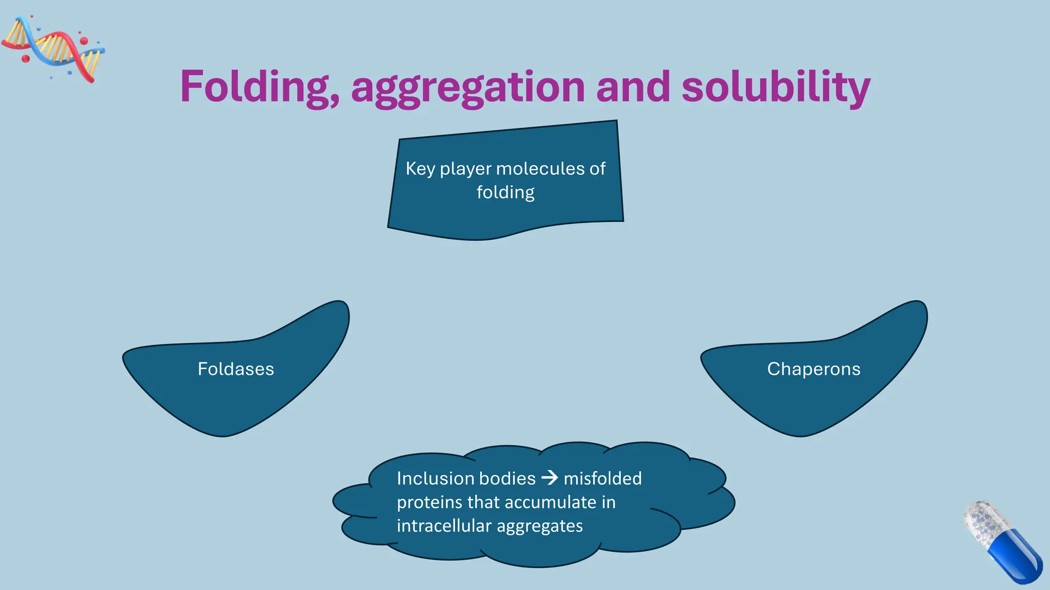 Folding, aggregation and solubility
Foldases Chaperons
Key player molecules of
folding
Inclusion bodies → misfolded
proteins that accumulate in
intracellular aggregates
 
