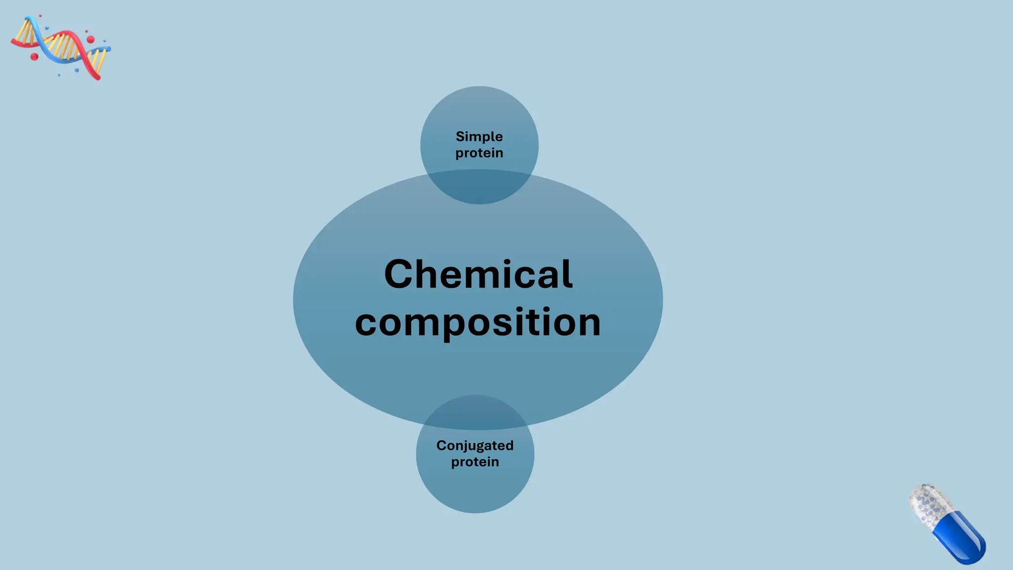 Chemical
composition
Simple
protein
Conjugated
protein
 