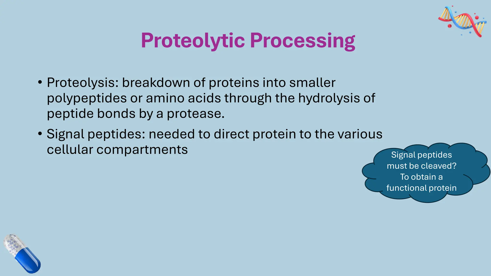 Proteolytic Processing
• Proteolysis: breakdown of proteins into smaller
polypeptides or amino acids through the hydrolysis of
peptide bonds by a protease.
• Signal peptides: needed to direct protein to the various
cellular compartments Signal peptides
must be cleaved?
To obtain a
functional protein
 
