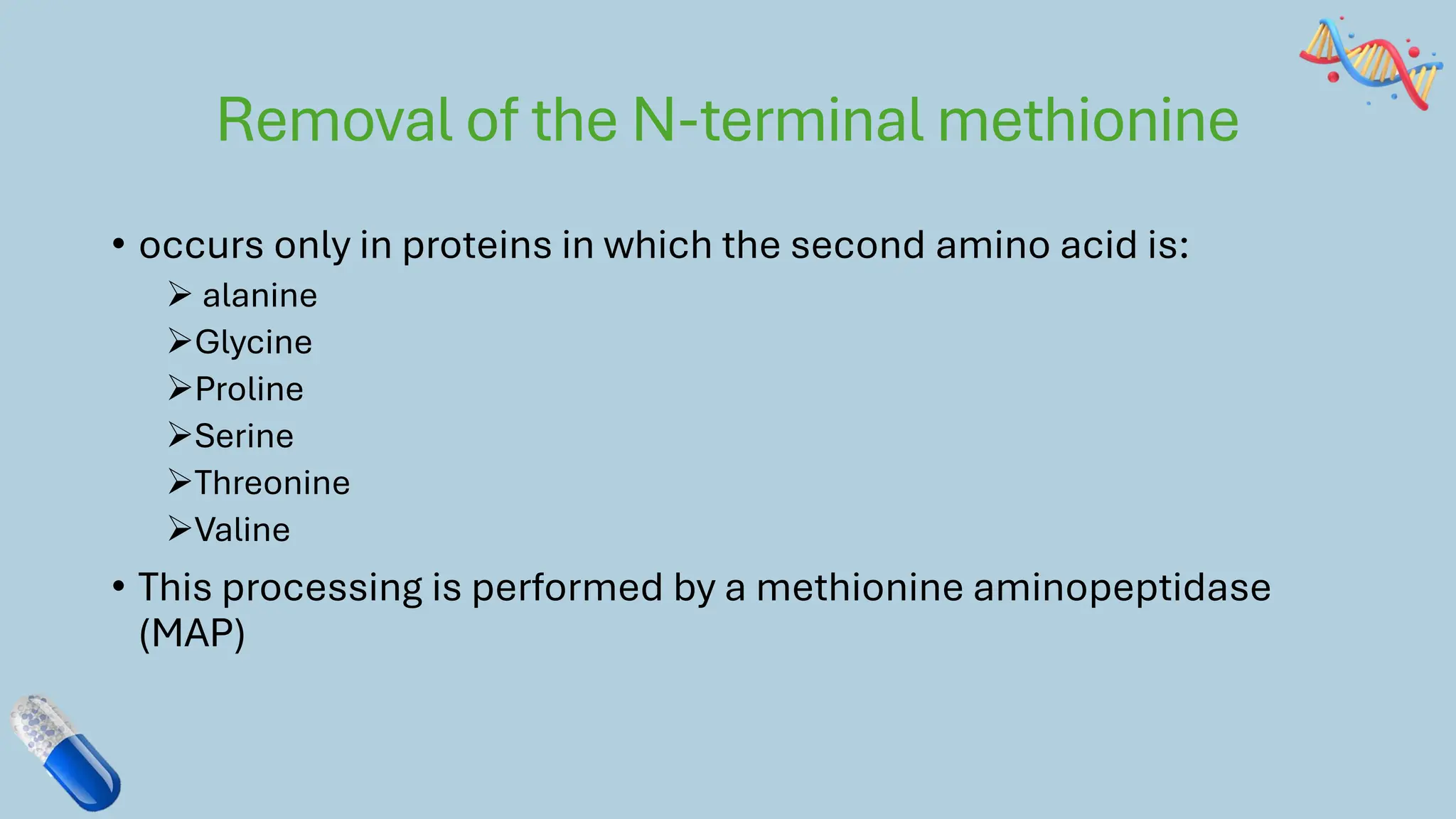 Removal of the N-terminal methionine
• occurs only in proteins in which the second amino acid is:
➢ alanine
➢Glycine
➢Proline
➢Serine
➢Threonine
➢Valine
• This processing is performed by a methionine aminopeptidase
(MAP)
 