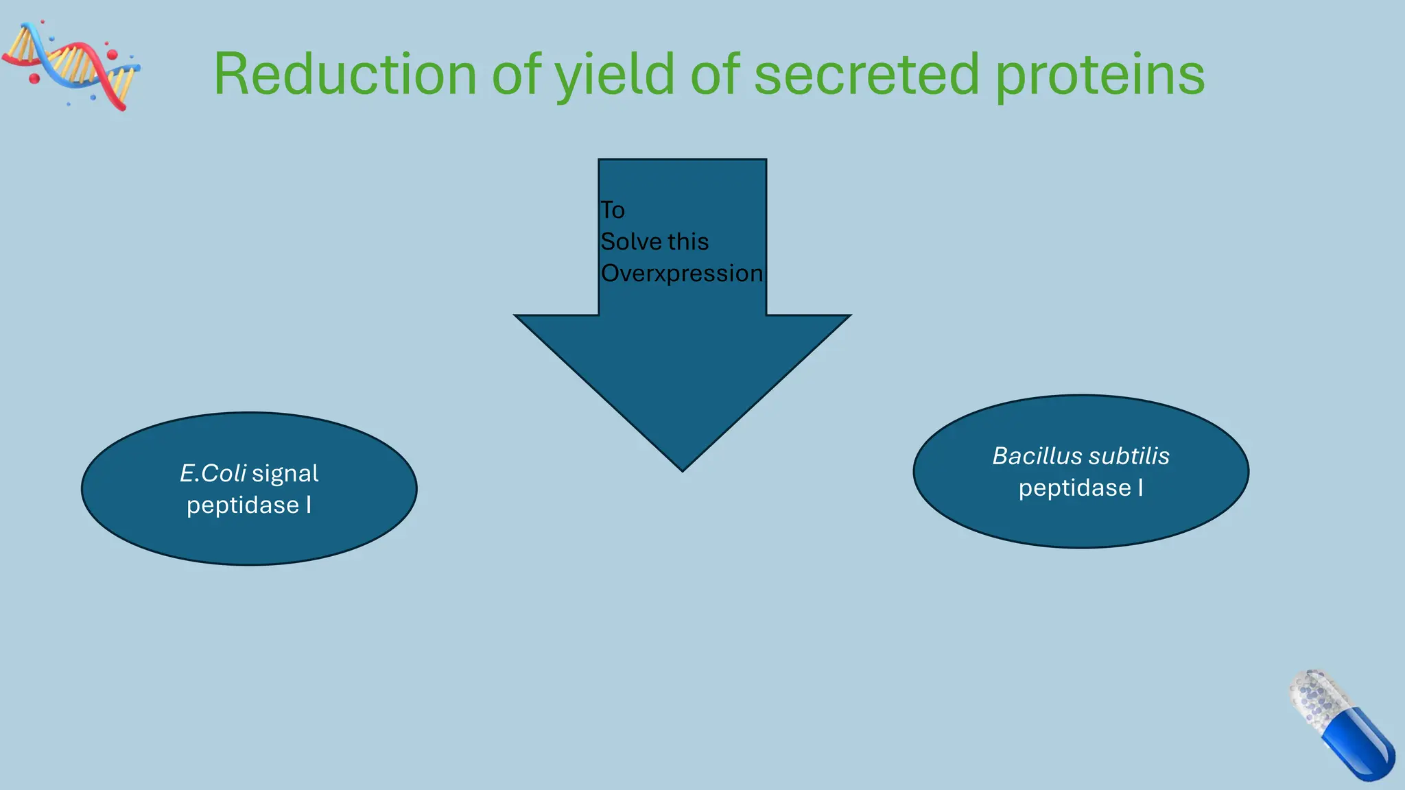 Reduction of yield of secreted proteins
To
Solve this
Overxpression
E.Coli signal
peptidase I
Bacillus subtilis
peptidase I
 