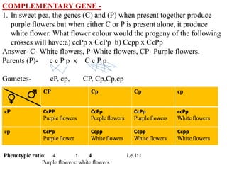 Problems based on mendelism and interaction of genes | PPTX