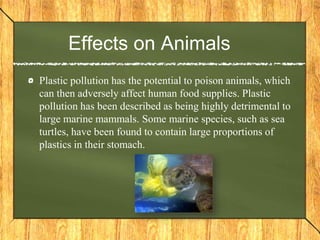Effects on Animals
Plastic pollution has the potential to poison animals, which
can then adversely affect human food supplies. Plastic
pollution has been described as being highly detrimental to
large marine mammals. Some marine species, such as sea
turtles, have been found to contain large proportions of
plastics in their stomach.
 