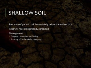 SHALLOW SOIL
Presence of parent rock immediately below the soil surface
Restricts root elongation & spreading
Management
 Frequent renewal of soil fertility
 Breaking of hard rocks by ploughing
 