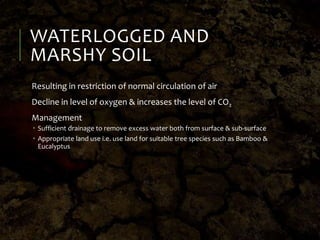 WATERLOGGED AND
MARSHY SOIL
Resulting in restriction of normal circulation of air
Decline in level of oxygen & increases the level of CO2
Management
 Sufficient drainage to remove excess water both from surface & sub-surface
 Appropriate land use i.e. use land for suitable tree species such as Bamboo &
Eucalyptus
 