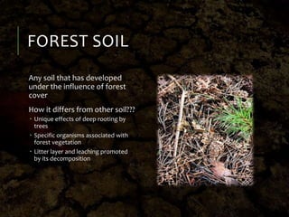FOREST SOIL
Any soil that has developed
under the influence of forest
cover
How it differs from other soil???
 Unique effects of deep rooting by
trees
 Specific organisms associated with
forest vegetation
 Litter layer and leaching promoted
by its decomposition
 