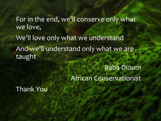 For in the end, we’ll conserve only what
we love,
We’ll love only what we understand
And we’ll understand only what we are
taught
Baba Dioum
African Conservationist
Thank You
 