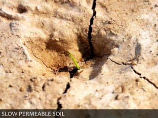SLOW PERMEABLE SOIL
 