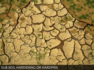 SUB SOIL HARDENING OR HARDPAN
 