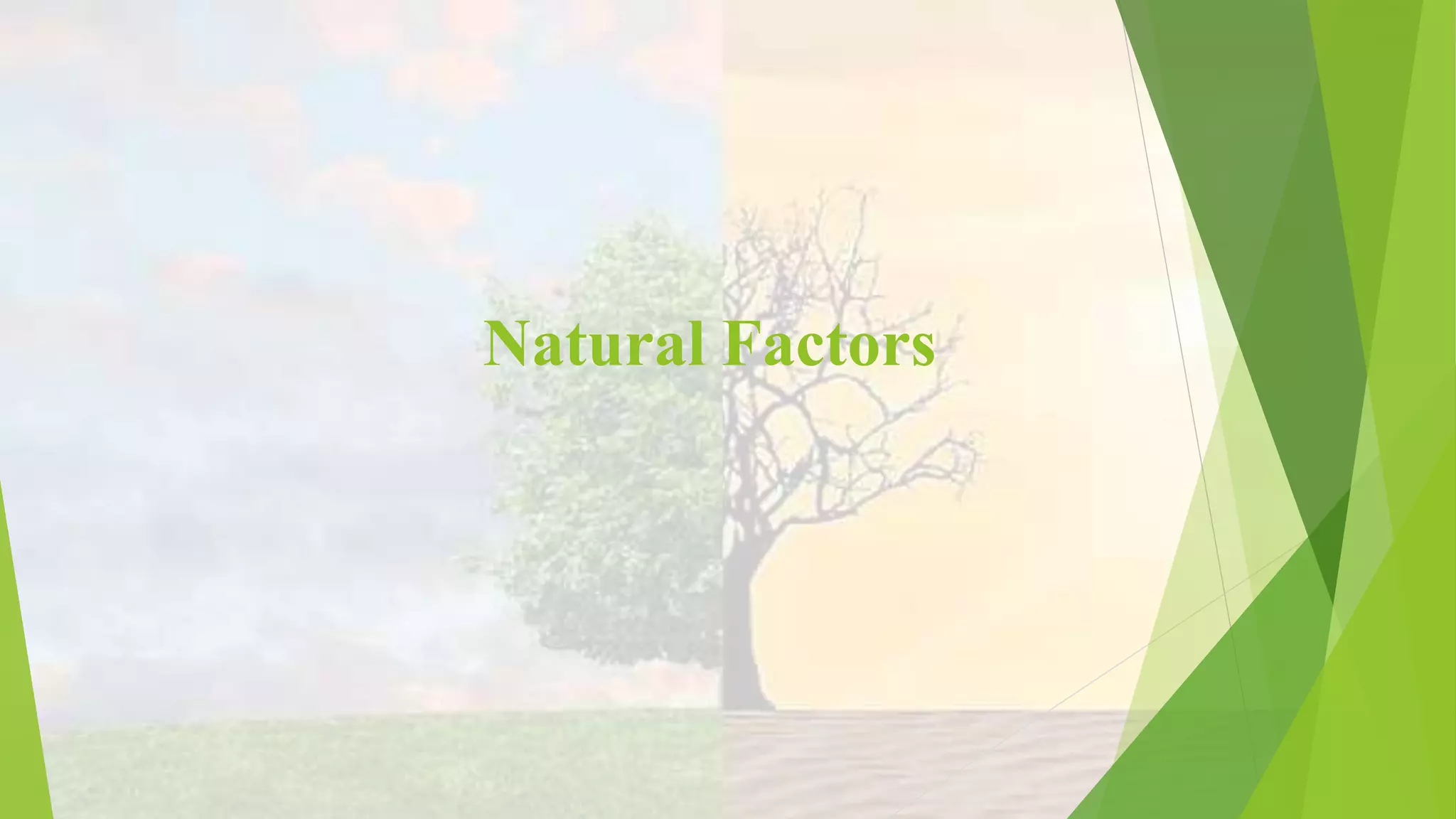 Natural Factors