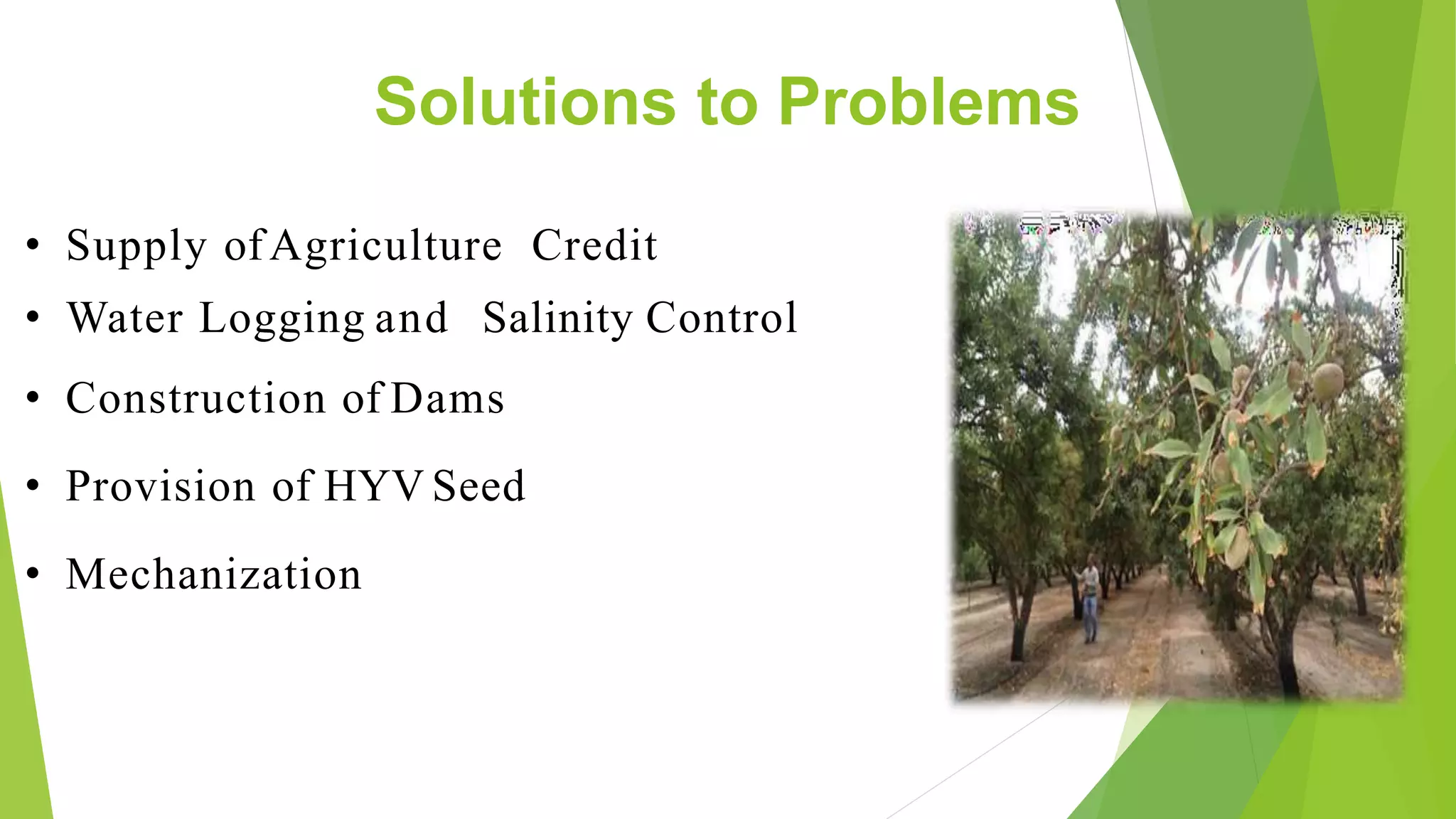 Solutions to Problems
• Supply ofAgriculture Credit
• Water Logging and Salinity Control
• Construction of Dams
• Provision of HYV Seed
• Mechanization