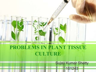 PROBLEMS IN PLANT TISSUE
CULTURE
Sujay Kumar Shetty
161243
 