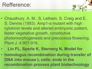Refference:
• Chaudhury, A. M., S. Letham, S. Craig and E.
S. Dennis (1993). Amp1-a mutant with high
cytokinin levels and altered embryonic pattern,
faster vegetative growth, constitutive
photomorphogenesis and precocious flowering.
Plant J. 4:907-916.
• Lin FL, Sperle K, Sternerg N, Model for
• homologus recombination during transfer of
DNA into mouse L cells: ends in the
recombination process plant biotechnology
 