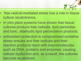 • free radical-mediated stress has a role in tissue
culture recalcitrance.
• In vitro plant systems have shown that tissue
cultures produce free radicals, lipid peroxides
and toxic, aldehydic lipid peroxidation products.
• antioxidant protection is compromised oxidative
stress ensues and free radicals and their
reaction products react with macromolecules
such as DNA, proteins and enzymes, causing
cellular dysfuction and, as a result, the cultures
become recalcitrant.
 