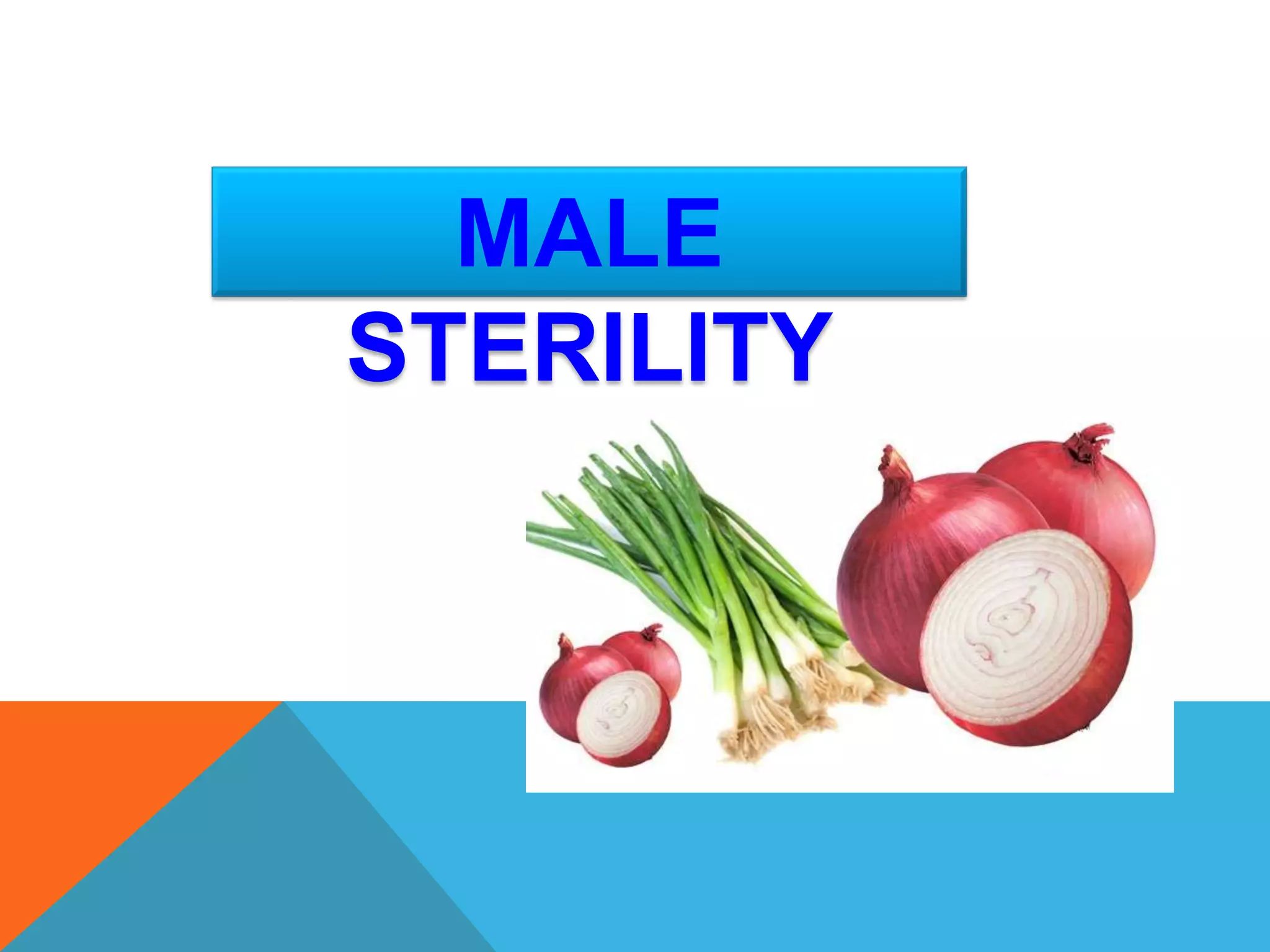 MALE
STERILITY
 