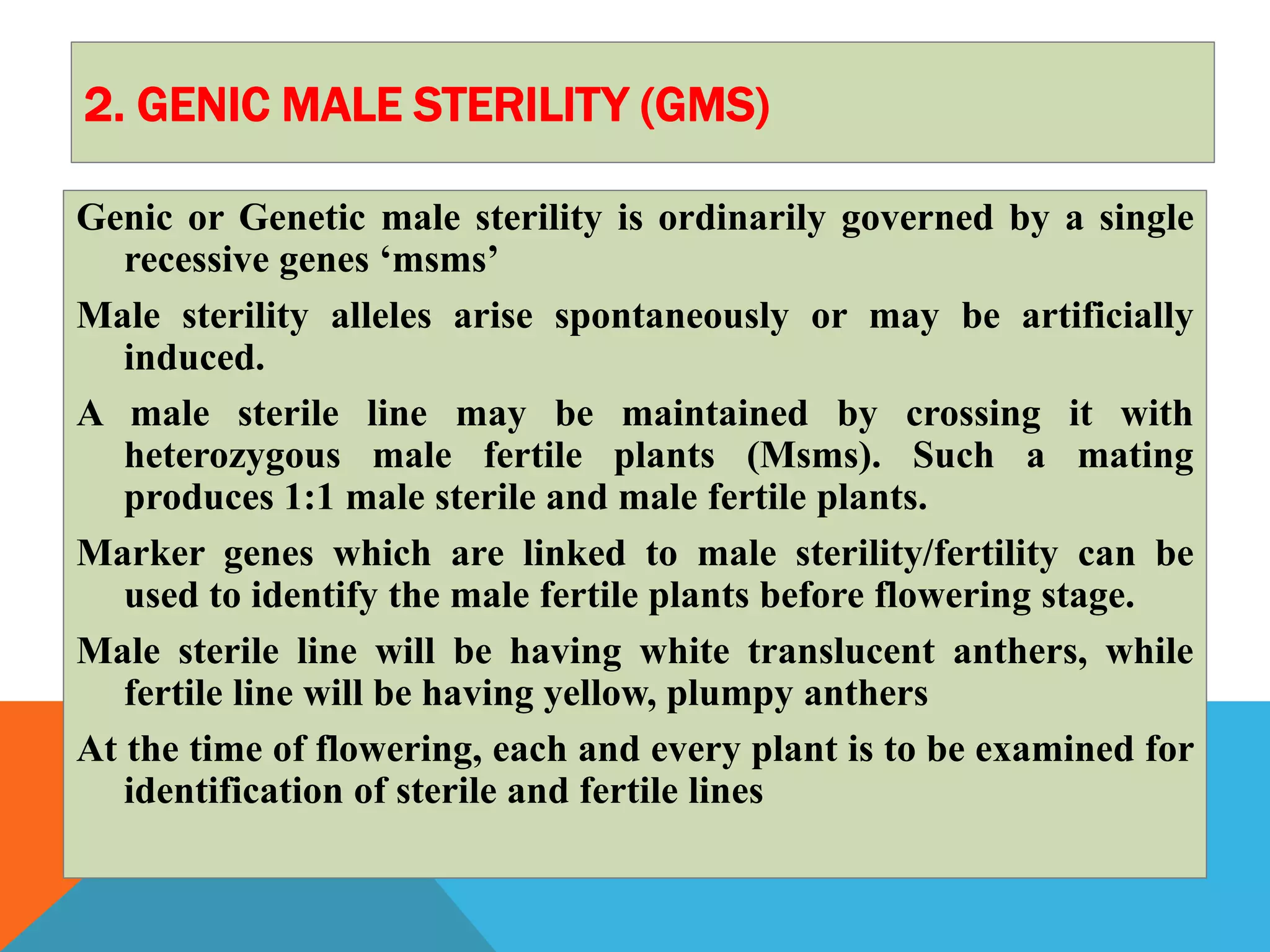 2. GENIC MALE STERILITY (GMS)
Genic or Genetic male sterility is ordinarily governed by a single
recessive genes ‘msms’
Male sterility alleles arise spontaneously or may be artificially
induced.
A male sterile line may be maintained by crossing it with
heterozygous male fertile plants (Msms). Such a mating
produces 1:1 male sterile and male fertile plants.
Marker genes which are linked to male sterility/fertility can be
used to identify the male fertile plants before flowering stage.
Male sterile line will be having white translucent anthers, while
fertile line will be having yellow, plumpy anthers
At the time of flowering, each and every plant is to be examined for
identification of sterile and fertile lines
 
