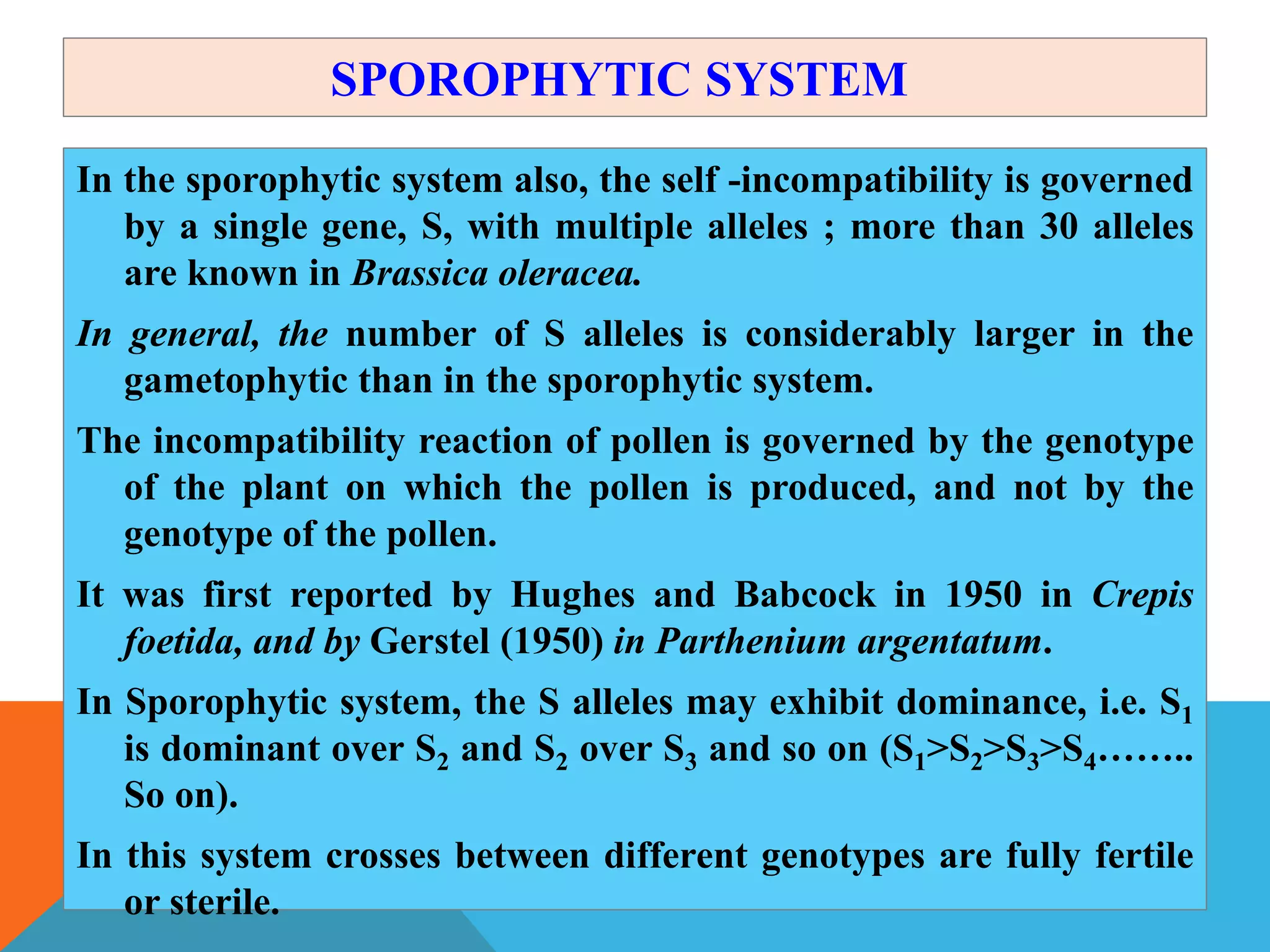 SPOROPHYTIC SYSTEM
In the sporophytic system also, the self -incompatibility is governed
by a single gene, S, with multiple alleles ; more than 30 alleles
are known in Brassica oleracea.
In general, the number of S alleles is considerably larger in the
gametophytic than in the sporophytic system.
The incompatibility reaction of pollen is governed by the genotype
of the plant on which the pollen is produced, and not by the
genotype of the pollen.
It was first reported by Hughes and Babcock in 1950 in Crepis
foetida, and by Gerstel (1950) in Parthenium argentatum.
In Sporophytic system, the S alleles may exhibit dominance, i.e. S1
is dominant over S2 and S2 over S3 and so on (S1>S2>S3>S4……..
So on).
In this system crosses between different genotypes are fully fertile
or sterile.
 