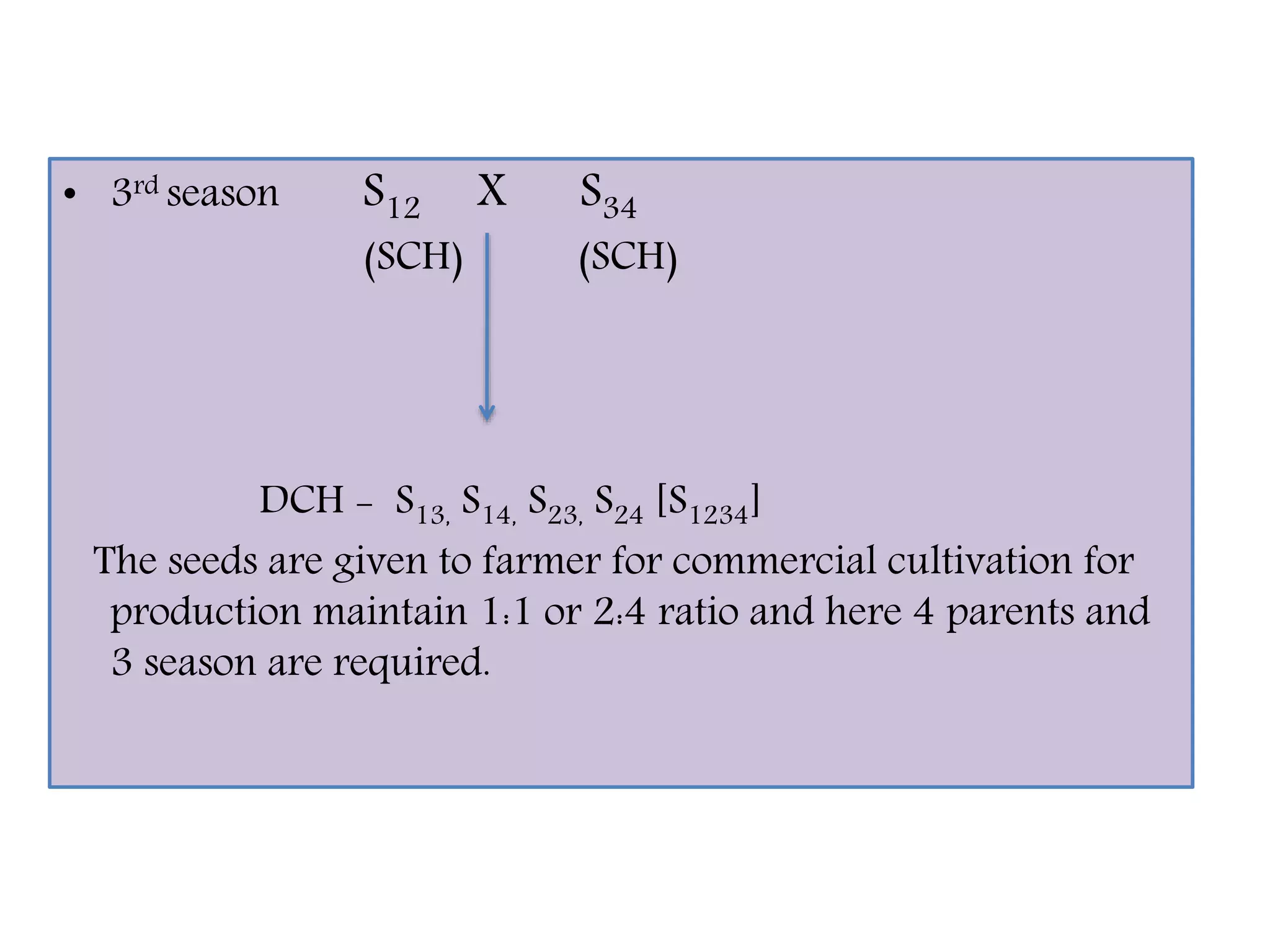 • 3rd season S12 X S34
(SCH) (SCH)
DCH - S13, S14, S23, S24 [S1234]
The seeds are given to farmer for commercial cultivation for
production maintain 1:1 or 2:4 ratio and here 4 parents and
3 season are required.
 