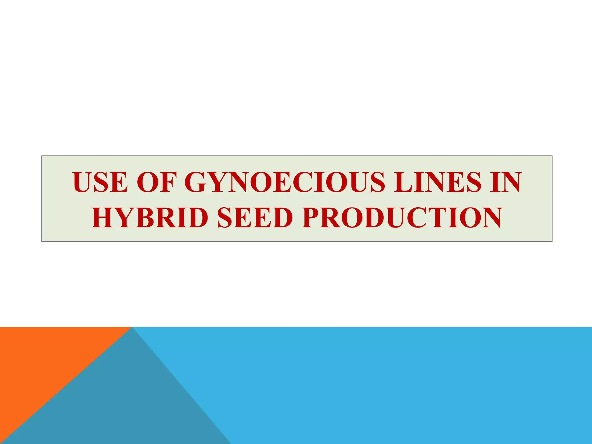 USE OF GYNOECIOUS LINES IN
HYBRID SEED PRODUCTION
 
