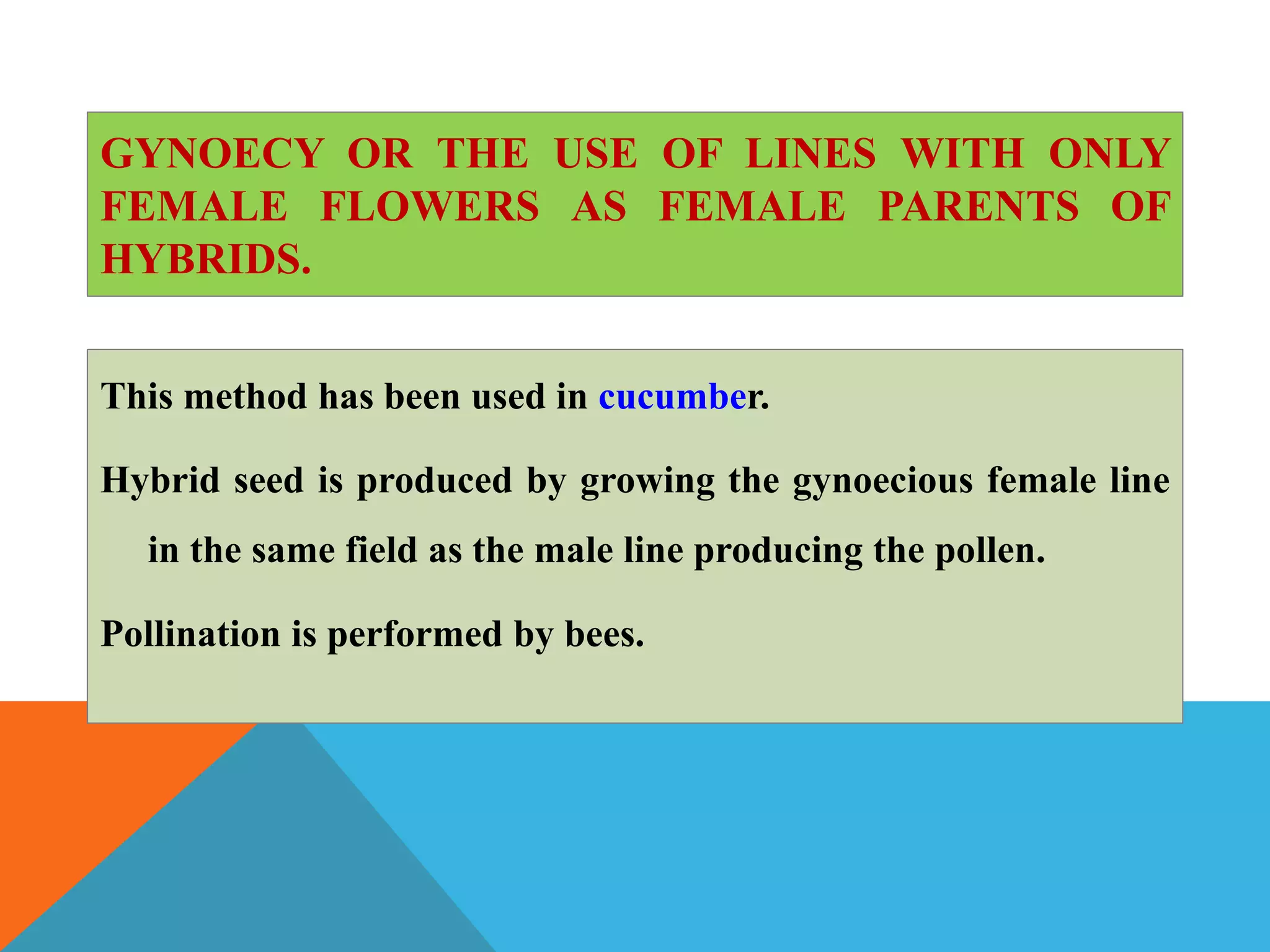 GYNOECY OR THE USE OF LINES WITH ONLY
FEMALE FLOWERS AS FEMALE PARENTS OF
HYBRIDS.
This method has been used in cucumber.
Hybrid seed is produced by growing the gynoecious female line
in the same field as the male line producing the pollen.
Pollination is performed by bees.
 