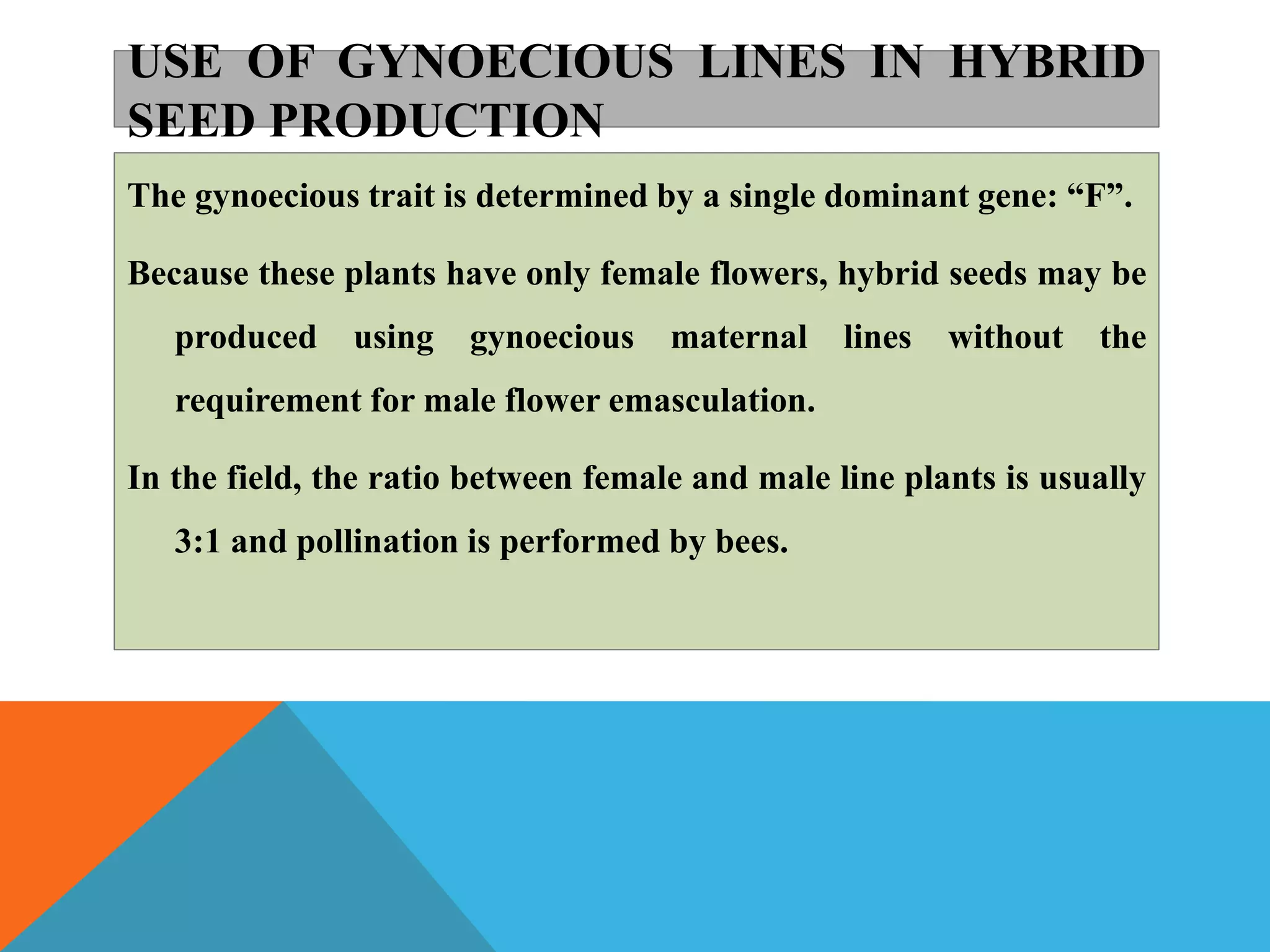USE OF GYNOECIOUS LINES IN HYBRID
SEED PRODUCTION
The gynoecious trait is determined by a single dominant gene: “F”.
Because these plants have only female flowers, hybrid seeds may be
produced using gynoecious maternal lines without the
requirement for male flower emasculation.
In the field, the ratio between female and male line plants is usually
3:1 and pollination is performed by bees.
 